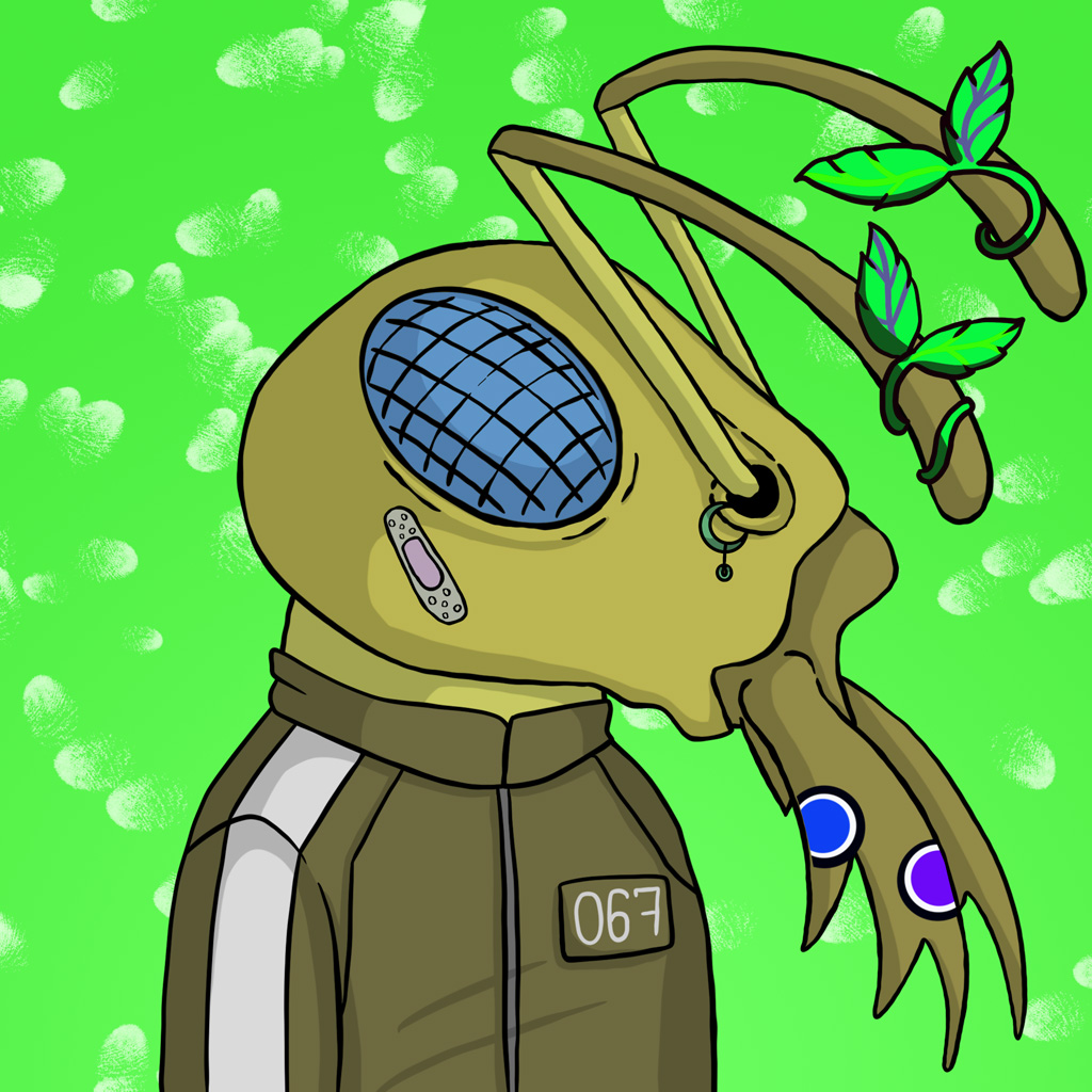 Aptos Ant Club #1123