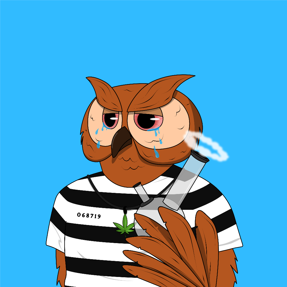 Secret Owl Society #2141