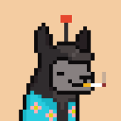 Aptos Alpha Alpacas #121