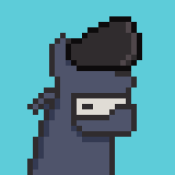 Aptos Alpha Alpacas #1253