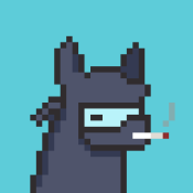 Aptos Alpha Alpacas #1271