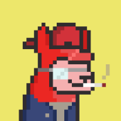 Aptos Alpha Alpacas #1284