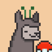 Aptos Alpha Alpacas #137