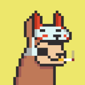 Aptos Alpha Alpacas #1515