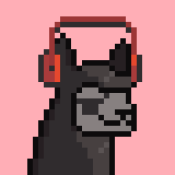 Aptos Alpha Alpacas #1519