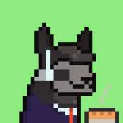 Aptos Alpha Alpacas #1578