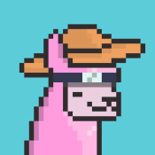 Aptos Alpha Alpacas #1615