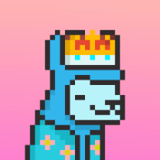 Aptos Alpha Alpacas #1618