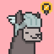 Aptos Alpha Alpacas #220