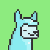 Aptos Alpha Alpacas #26