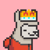 Aptos Alpha Alpacas #281