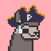 Aptos Alpha Alpacas #329