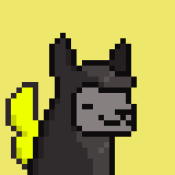 Aptos Alpha Alpacas #439