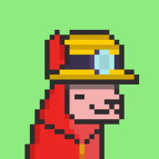 Aptos Alpha Alpacas #563