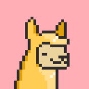 Aptos Alpha Alpacas #6
