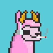 Aptos Alpha Alpacas #600