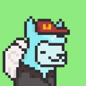 Aptos Alpha Alpacas #653