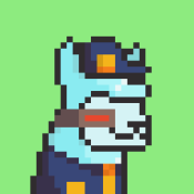 Aptos Alpha Alpacas #682