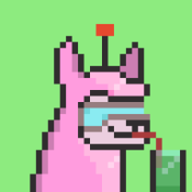 Aptos Alpha Alpacas #707