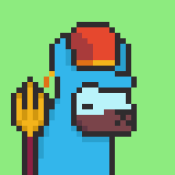 Aptos Alpha Alpacas #716