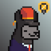 Aptos Alpha Alpacas #724