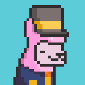 Aptos Alpha Alpacas #814