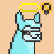 Aptos Alpha Alpacas #903