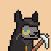 Aptos Alpha Alpacas #988