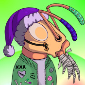 Aptos Ant Club #1209