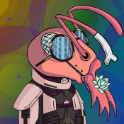 Aptos Ant Club #1222