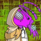 Aptos Ant Club #1259