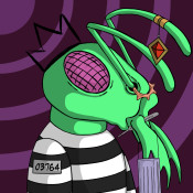 Aptos Ant Club #1597