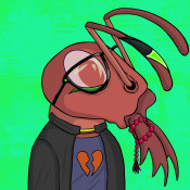 Aptos Ant Club #1852