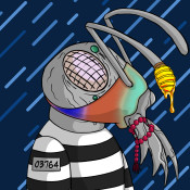 Aptos Ant Club #1893