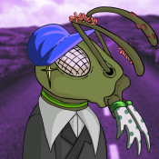 Aptos Ant Club #1923