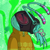 Aptos Ant Club #2330