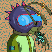 Aptos Ant Club #2925