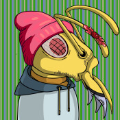 Aptos Ant Club #3193