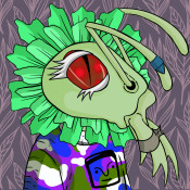 Aptos Ant Club #3366