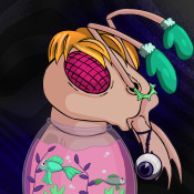 Aptos Ant Club #3629