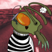 Aptos Ant Club #4131