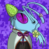 Aptos Ant Club #4142