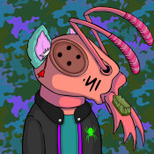 Aptos Ant Club #4256