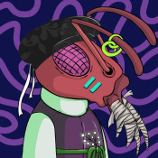 Aptos Ant Club #4257