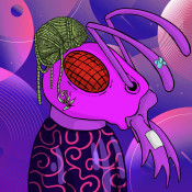 Aptos Ant Club #4437