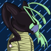 Aptos Ant Club #4588