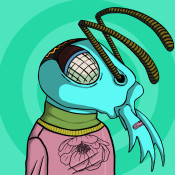 Aptos Ant Club #4930