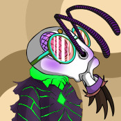 Aptos Ant Club #4949