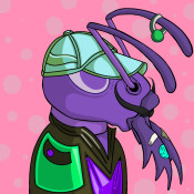 Aptos Ant Club #5031