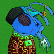 Aptos Ant Club #5221